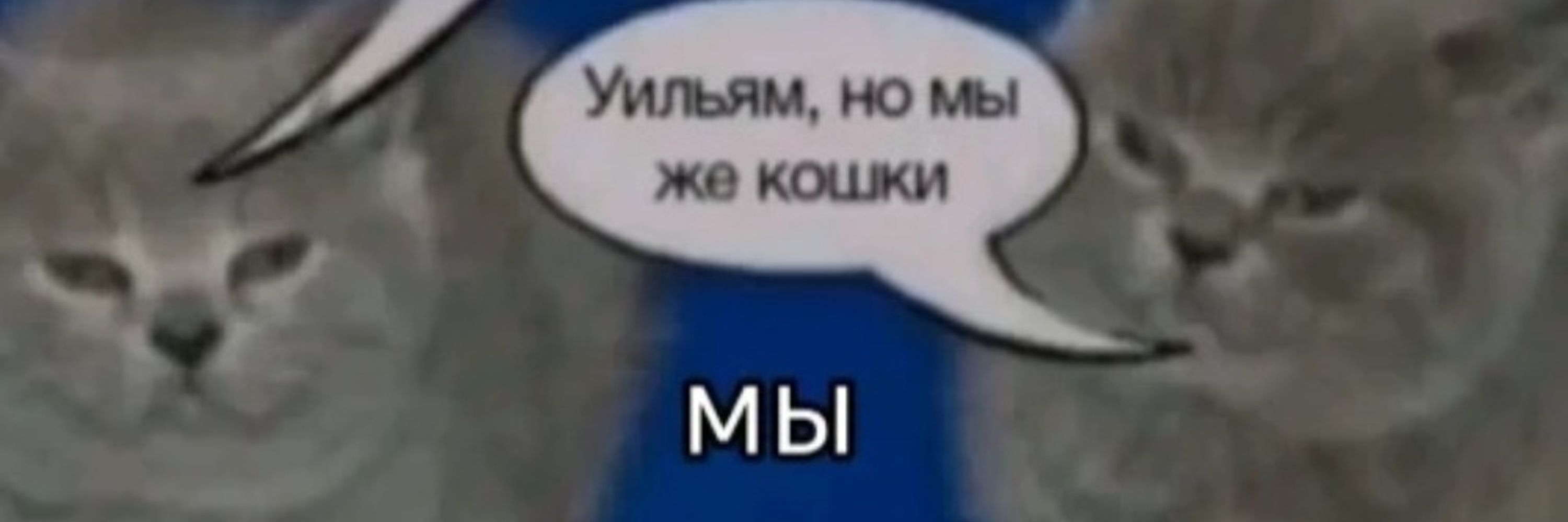 Chlomakkun