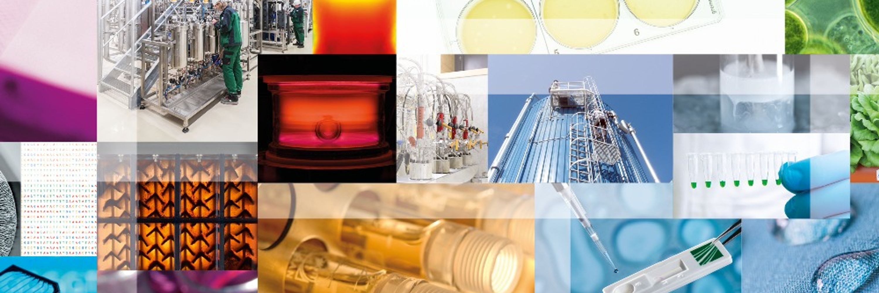 Fraunhofer IGB