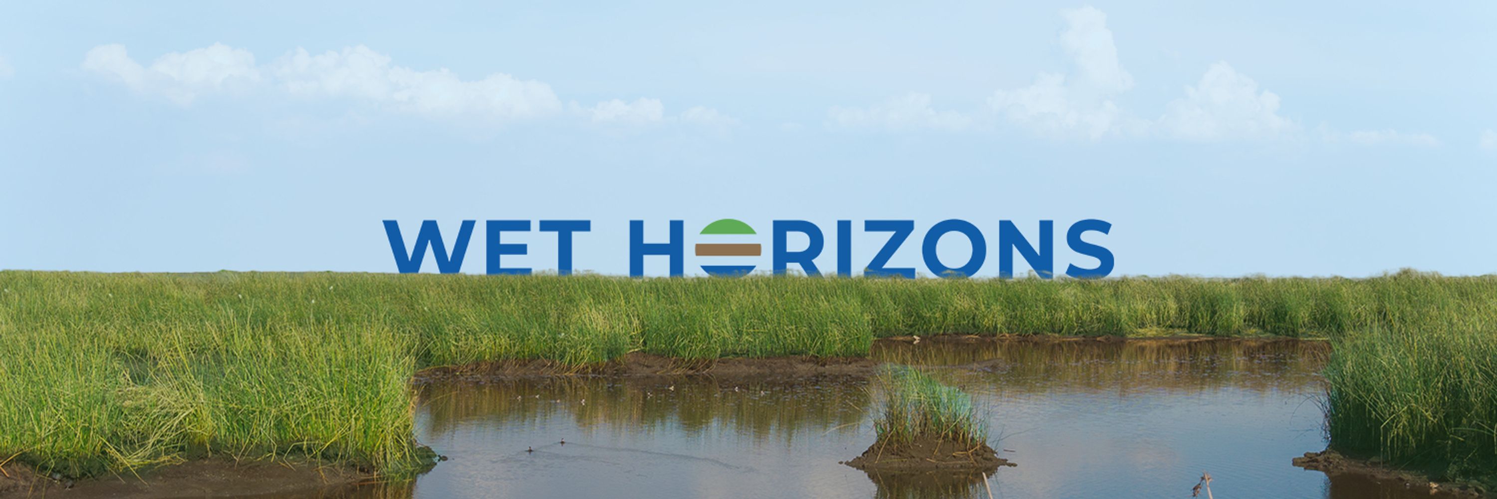 WET HORIZONS
