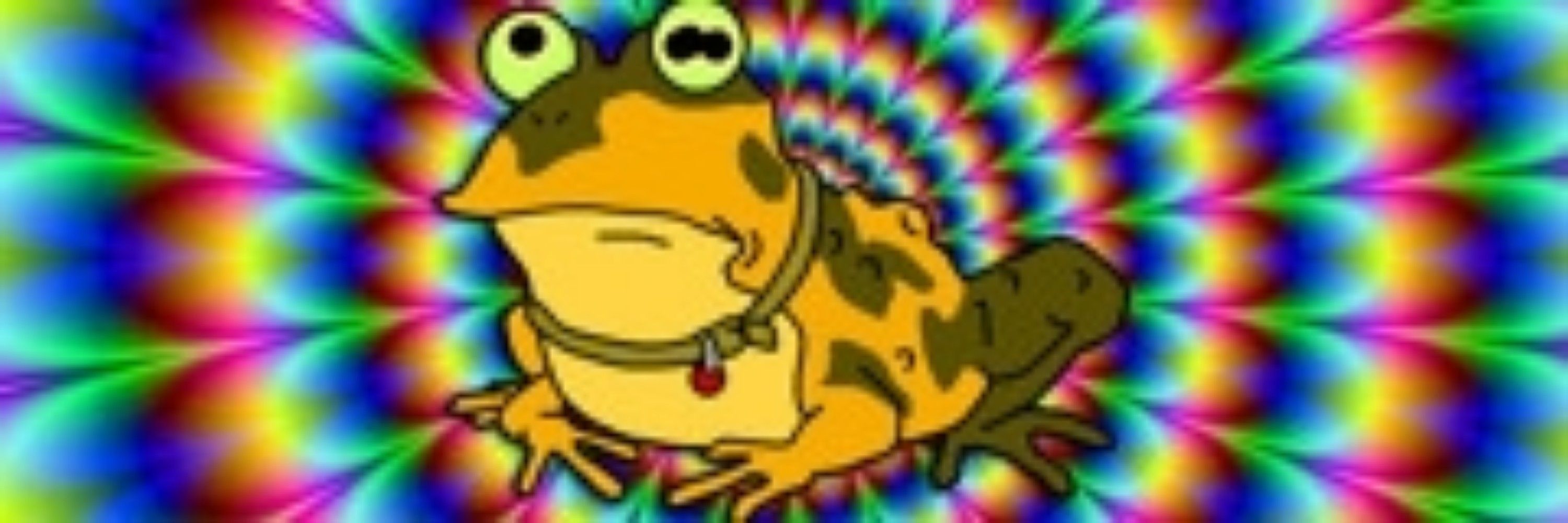 Groquik