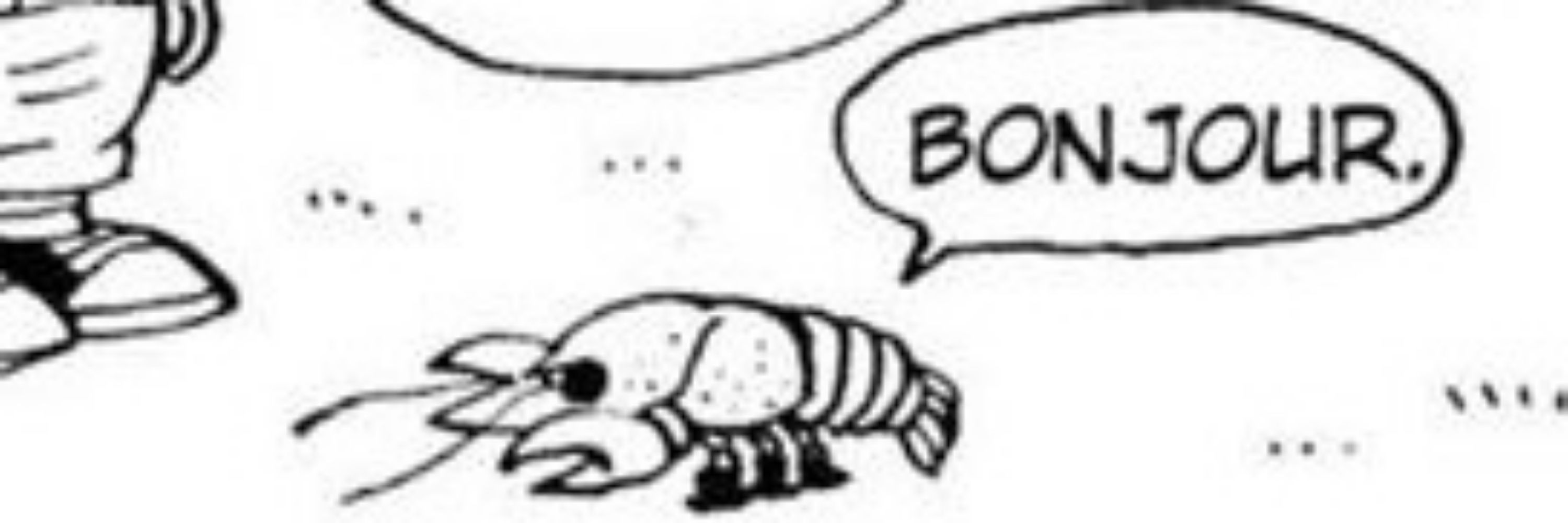 Mars the Shrimpback