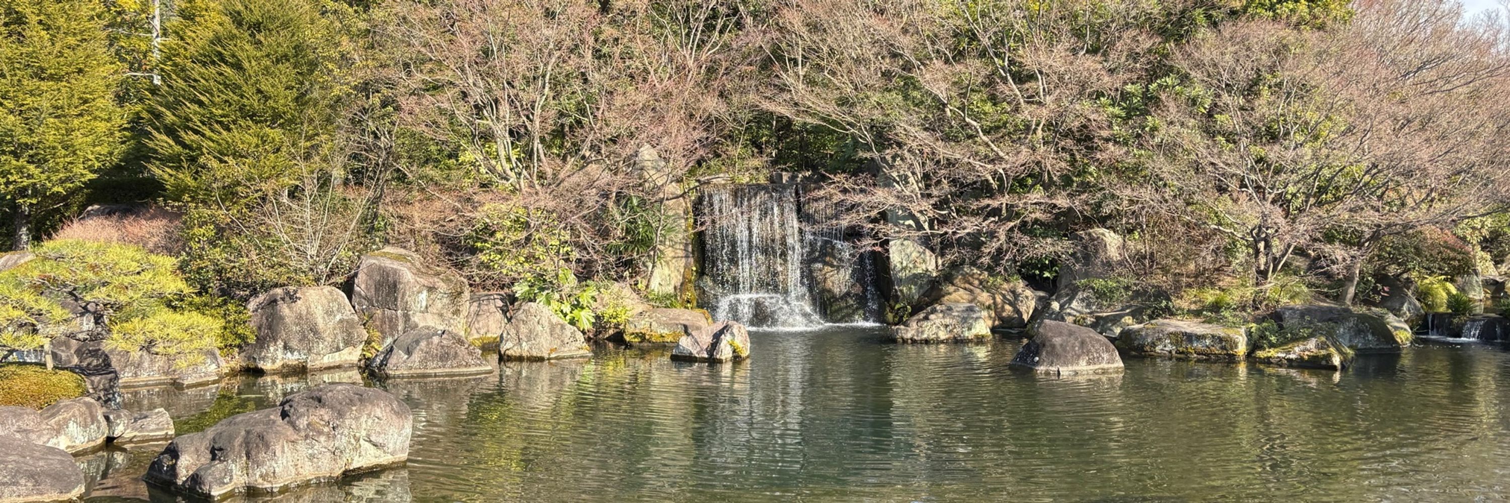 ぽひょり〜た