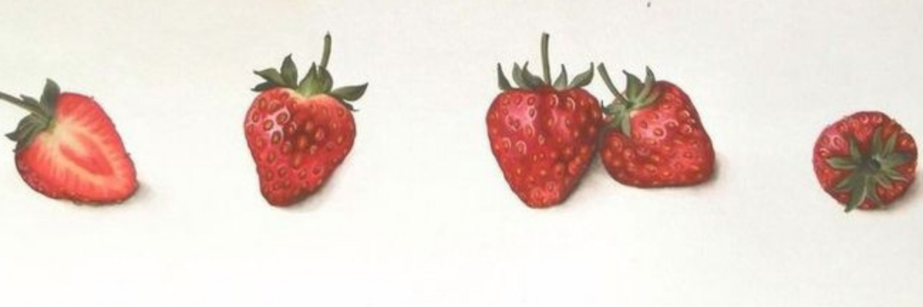 aile 🍓 