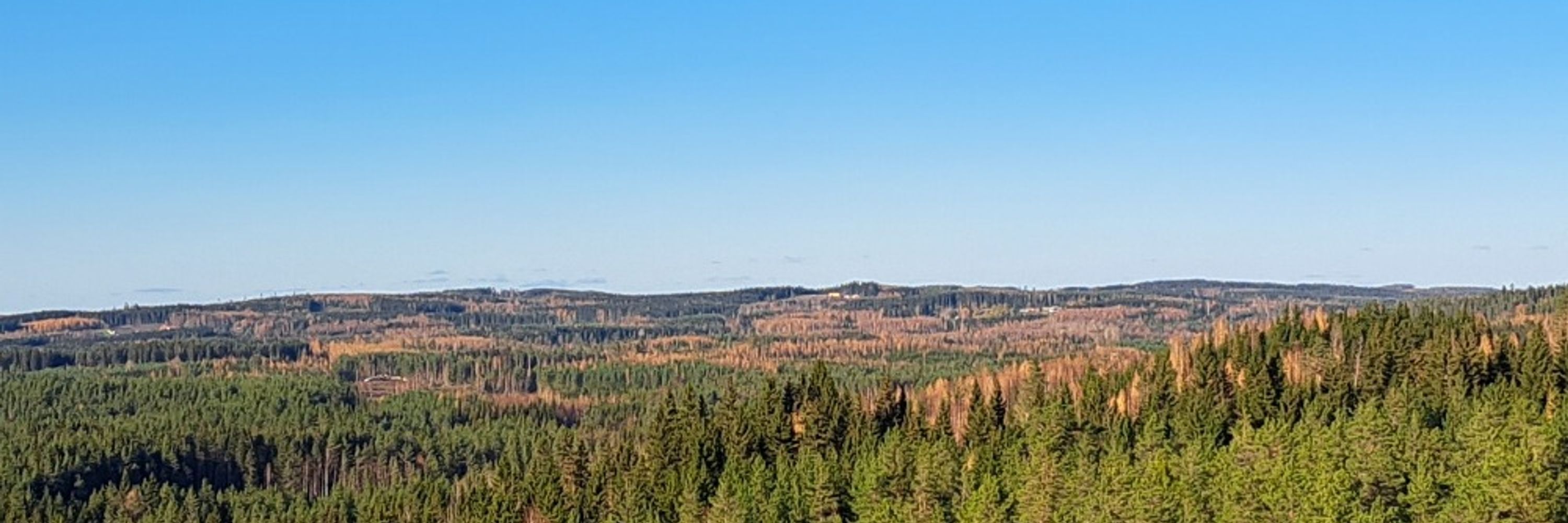Esko Rissanen