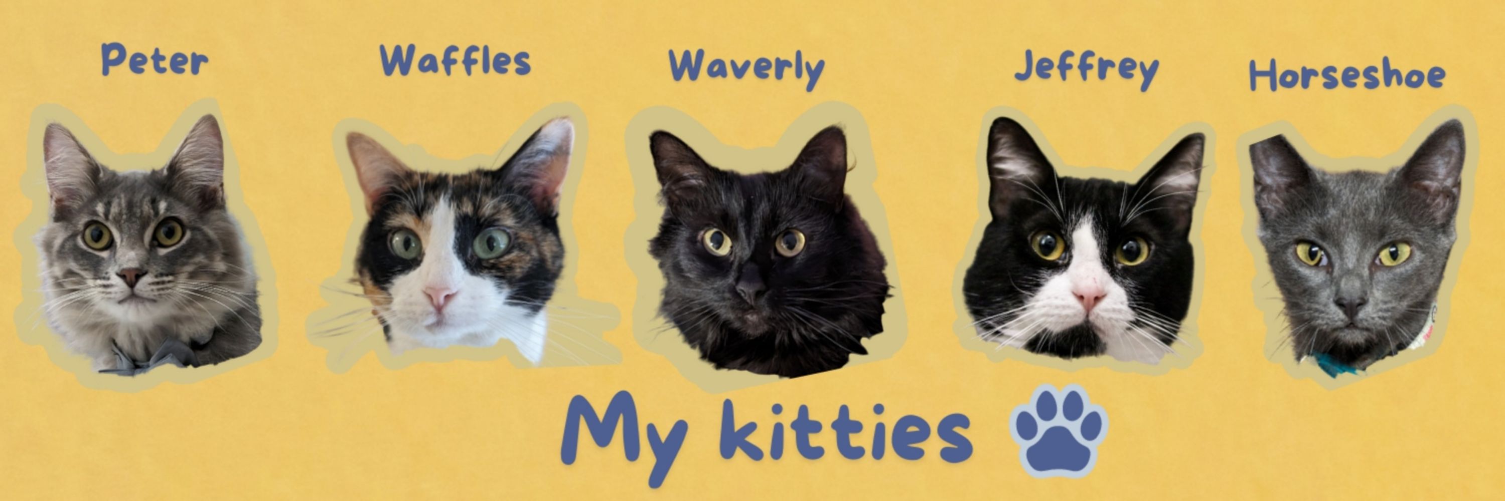 CatDaddyAdam 🏳️‍🌈