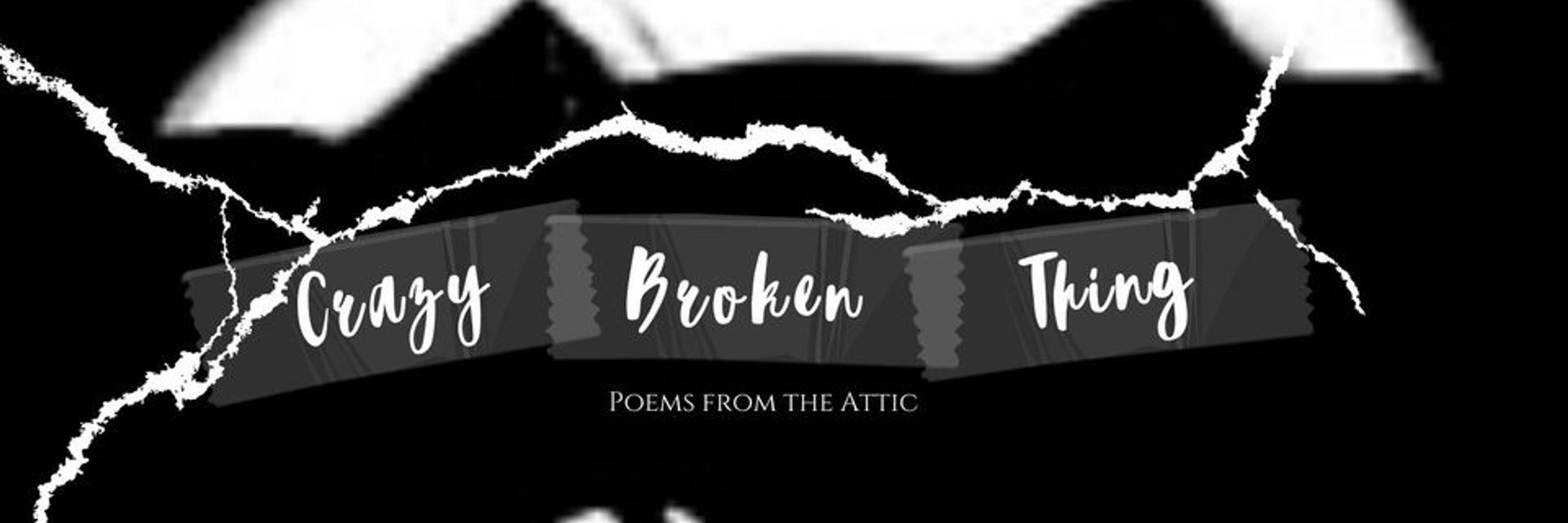 Crazy Broken Thing (Alicia Bayer Poetry)