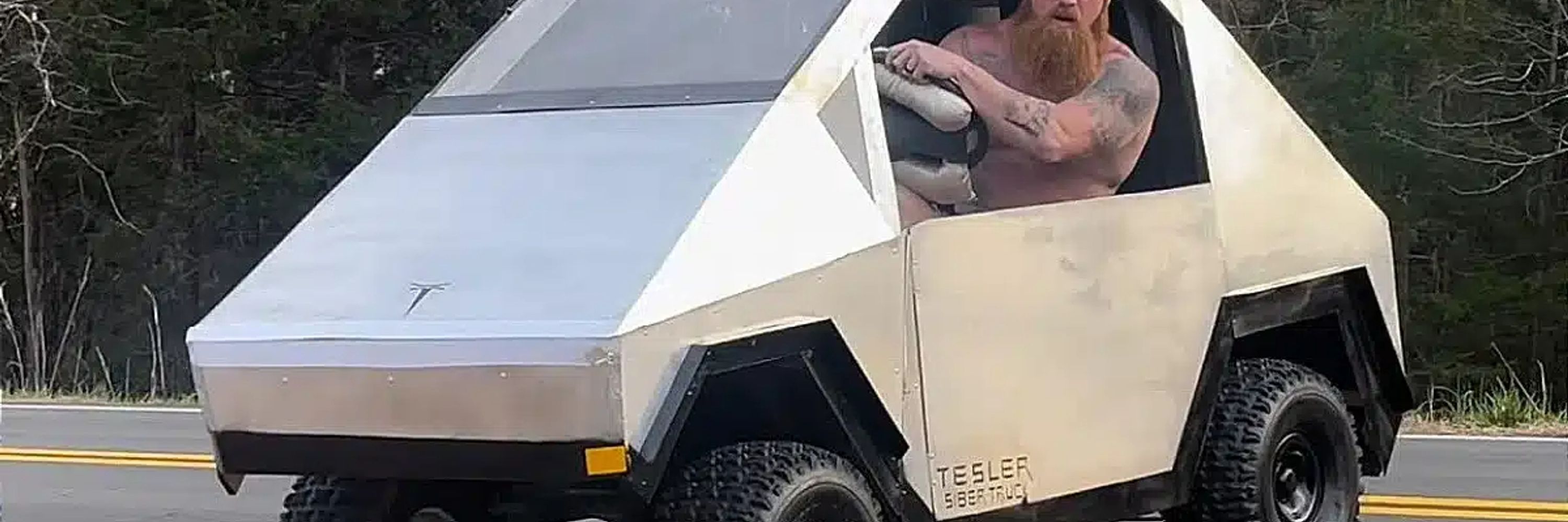 Elon Musk (not)