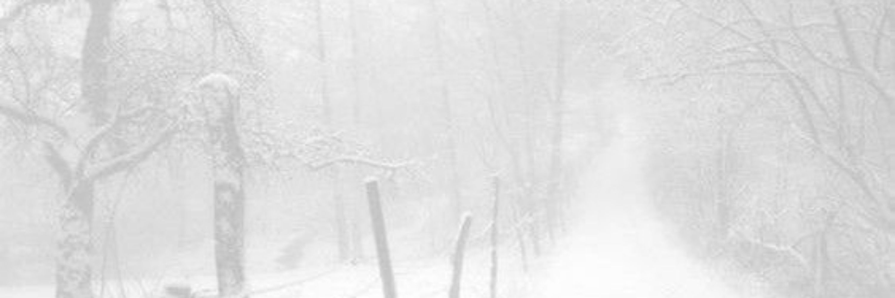 ⋆౨ৎ˚ ⟡˖ ࣪͏͏͏͏͏͏͏͏͏͏͏͏͏͏͏͏͏͏͏͏͏͏͏͏͏͏͏͏͏͏͏͏͏͏͏͏͏͏