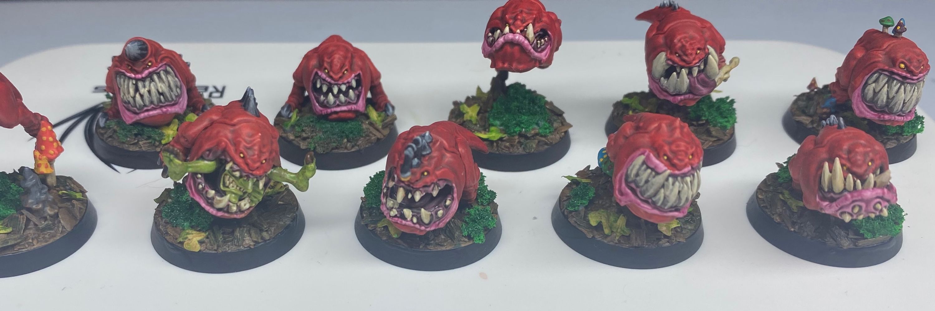 AoS Markus