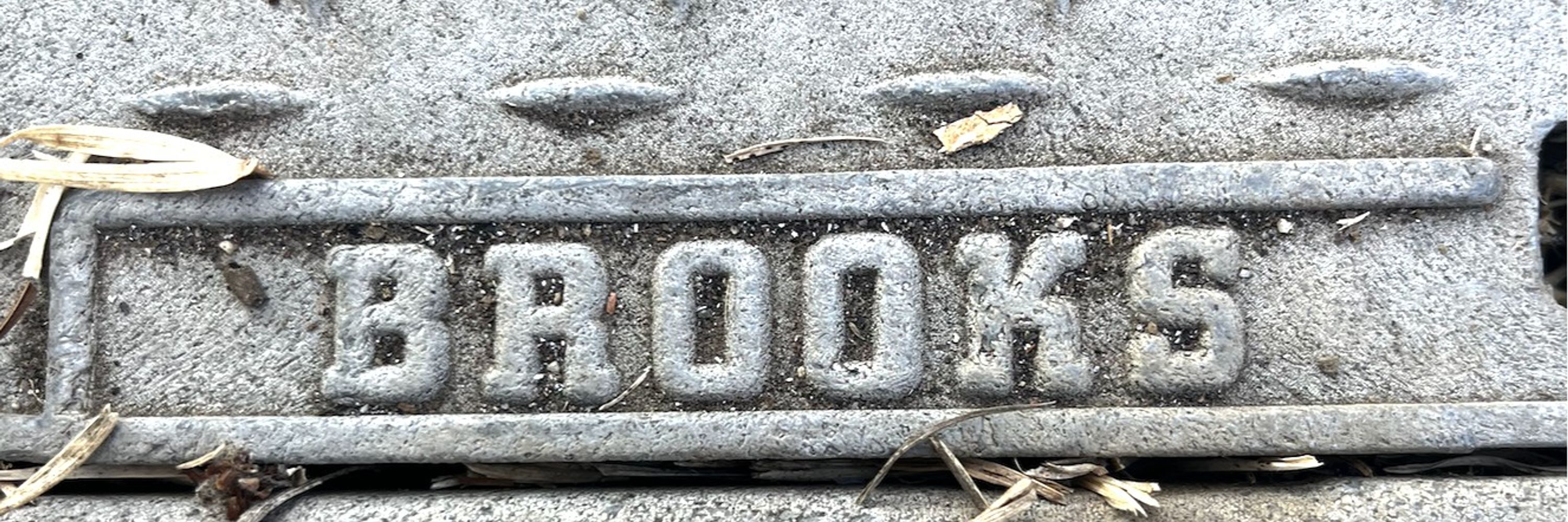 Dawn Brooks Macleod