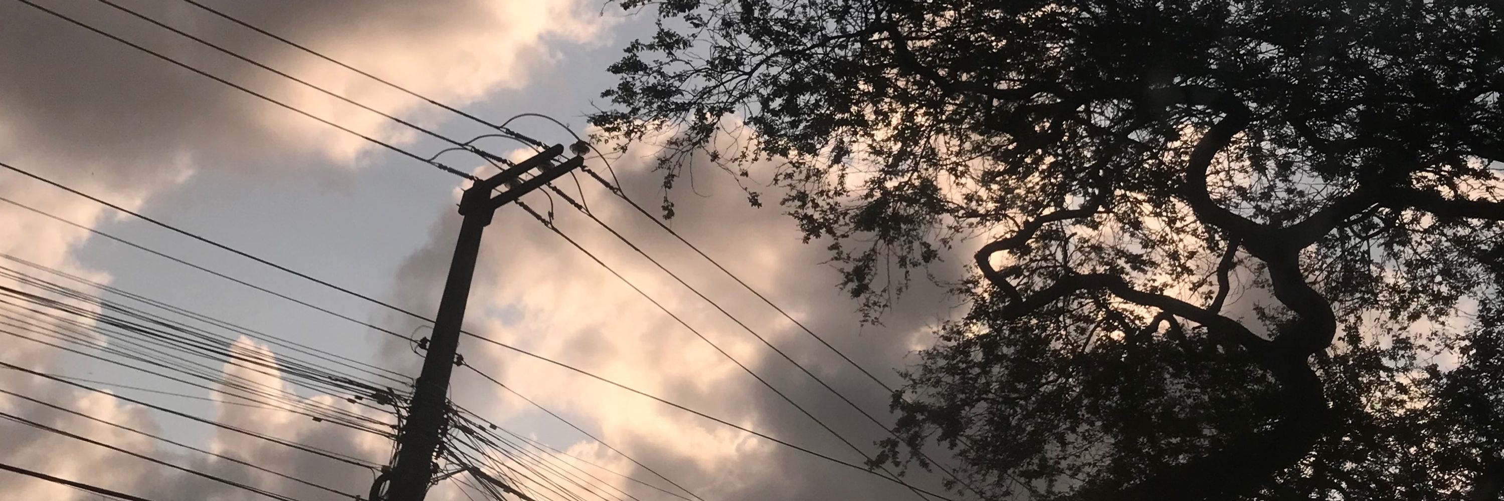 Aqui é nordeste mofio