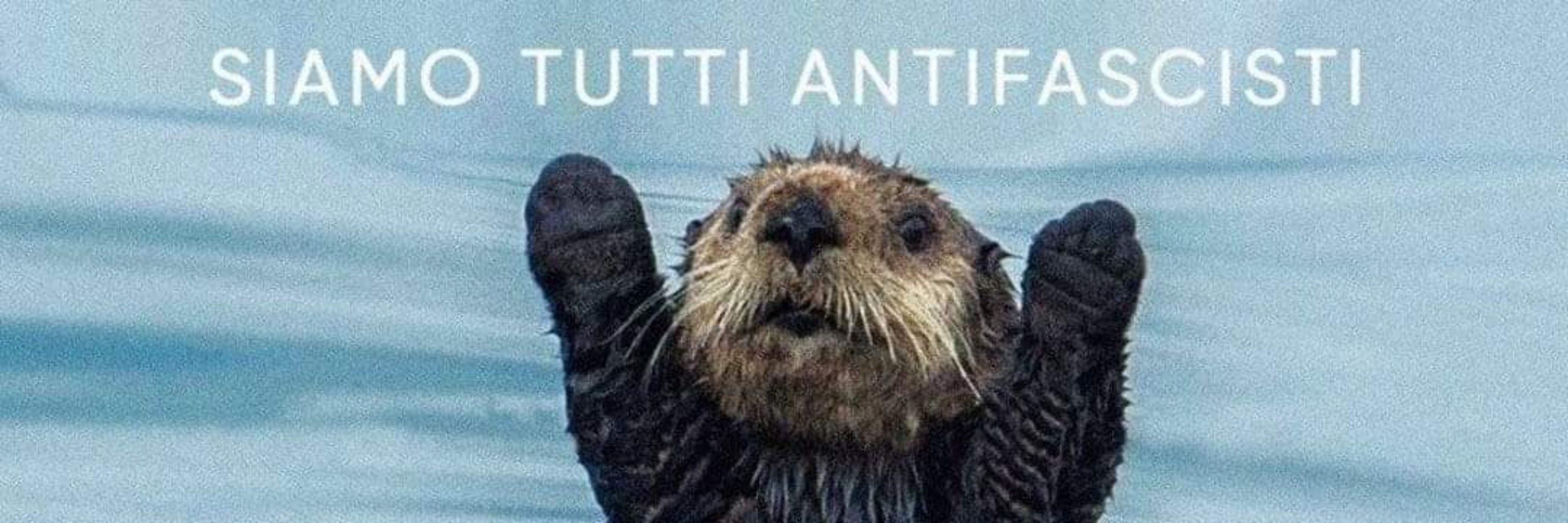 arthurito cara de cabrito 