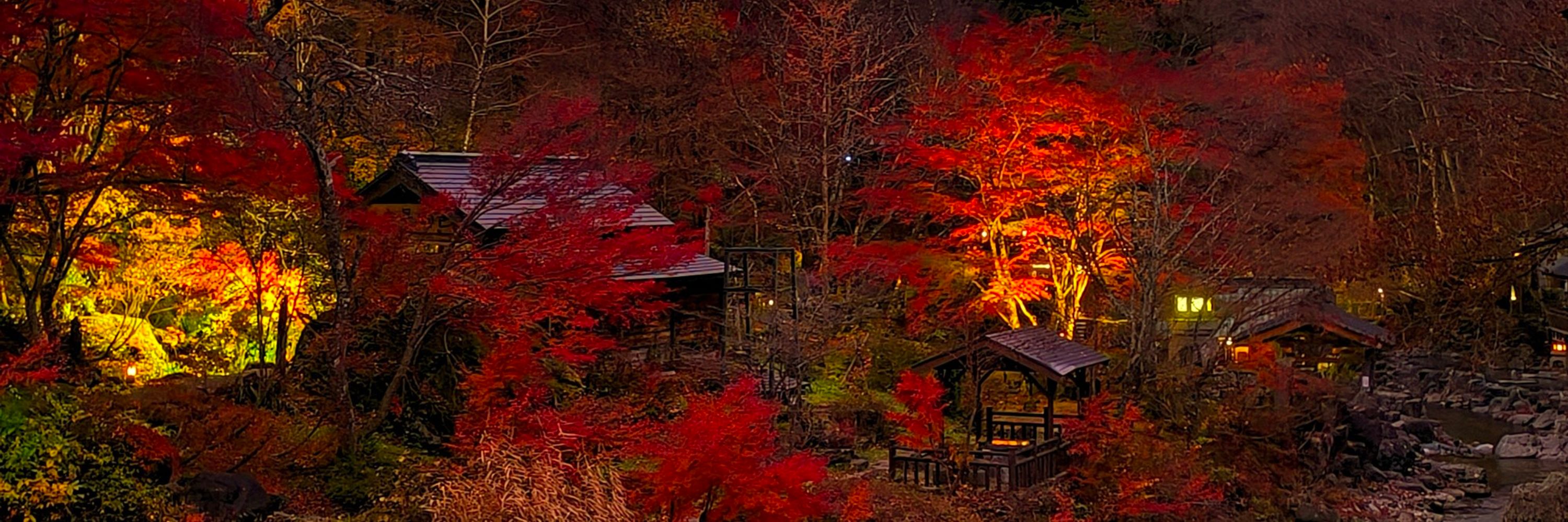 Portaljapon