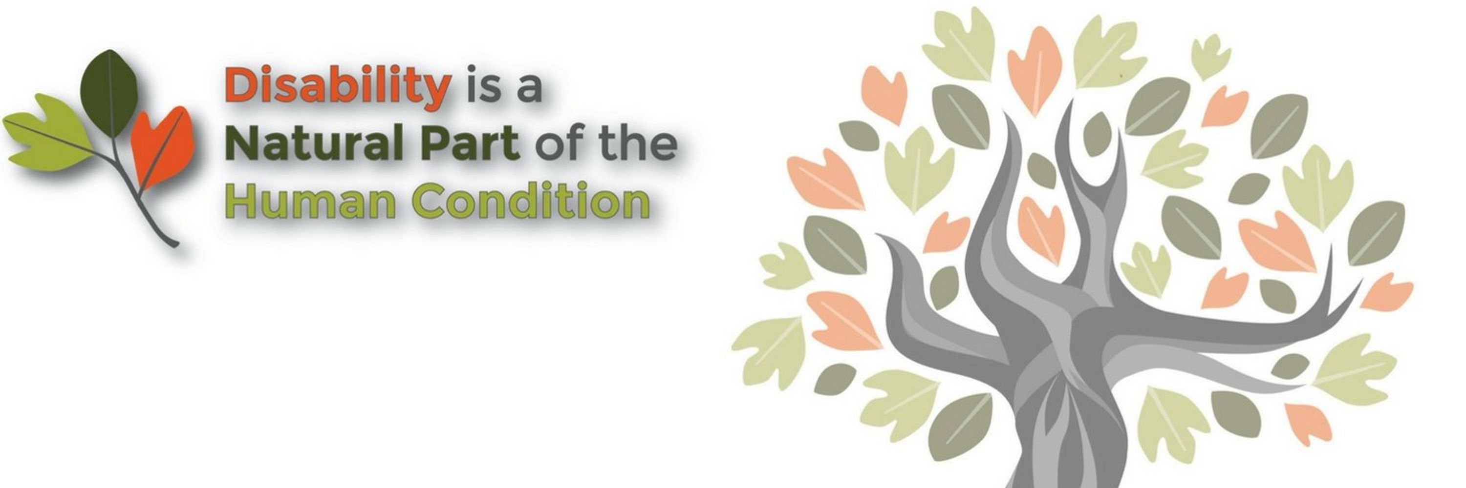 Pennsylvania Developmental Disabilities Coucil (PADDC)
