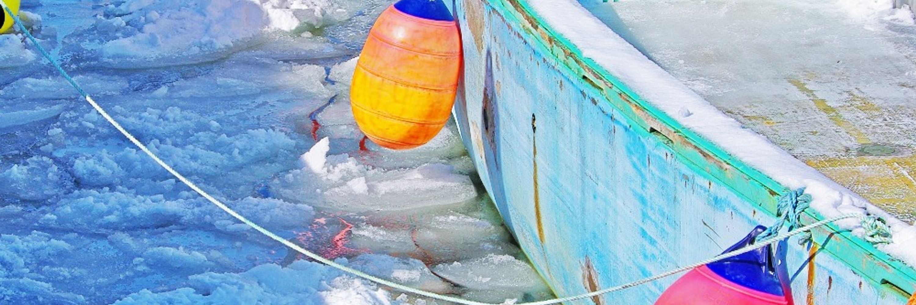 frozensea