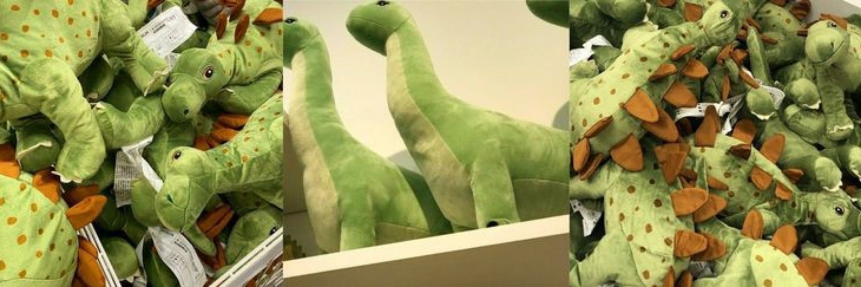 Simon • 🦕