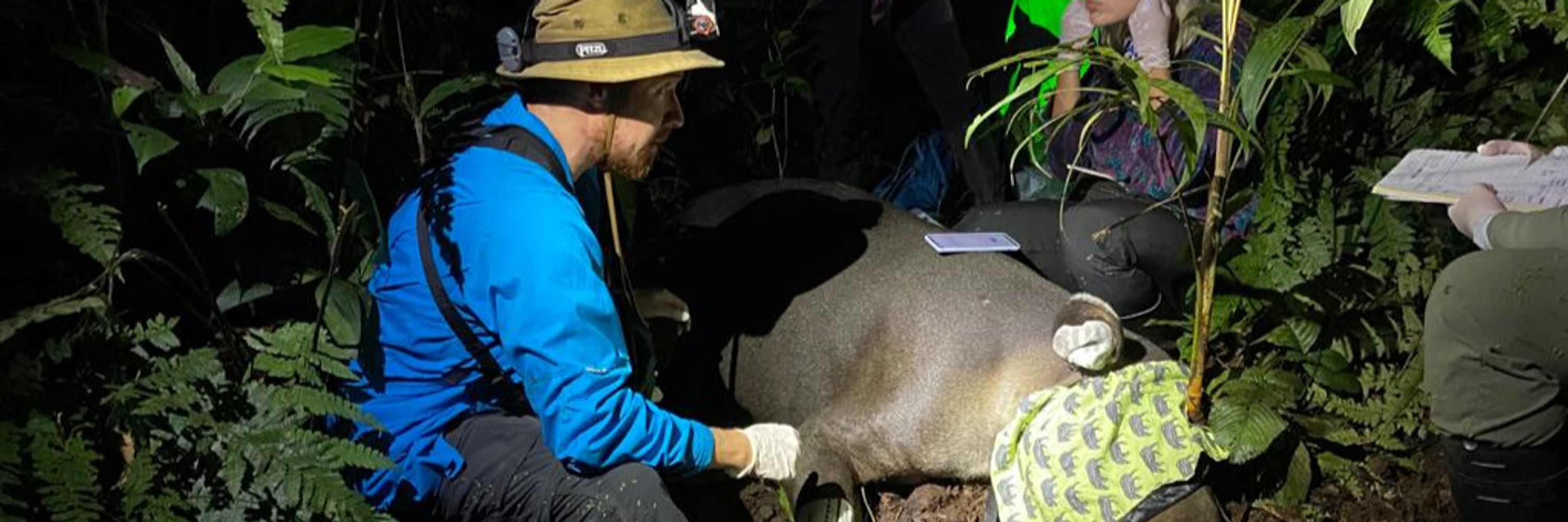 Tapir Vet, Dr. Jorge Rojas