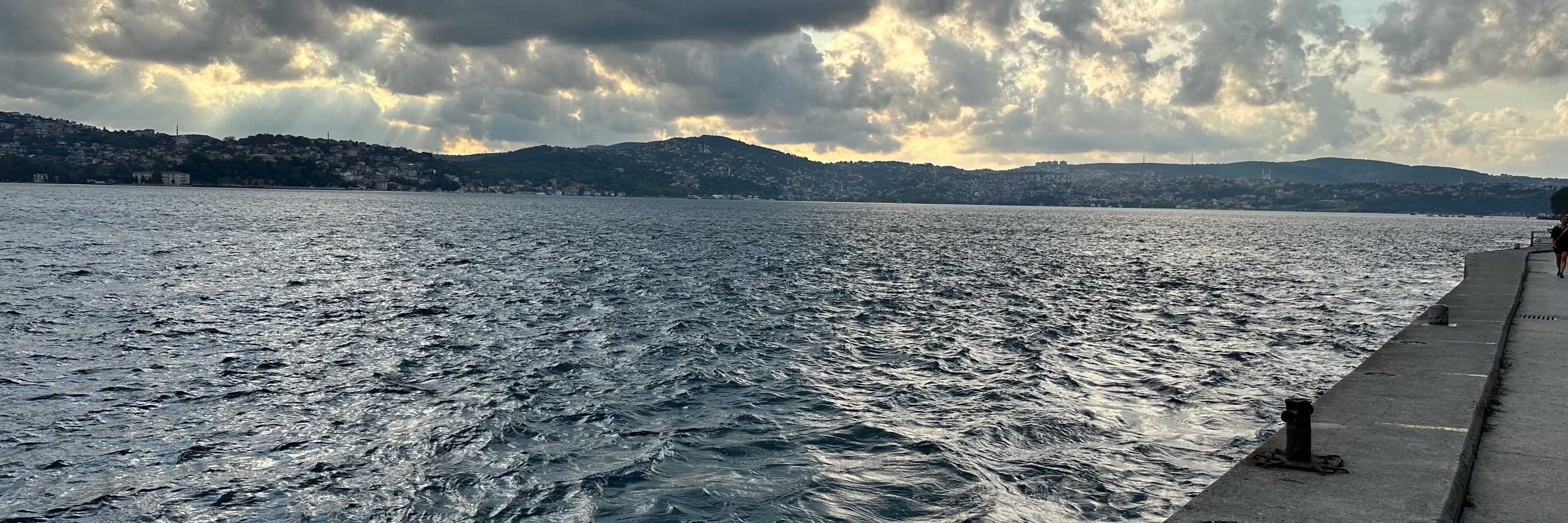 Lemi Orhan Ergin