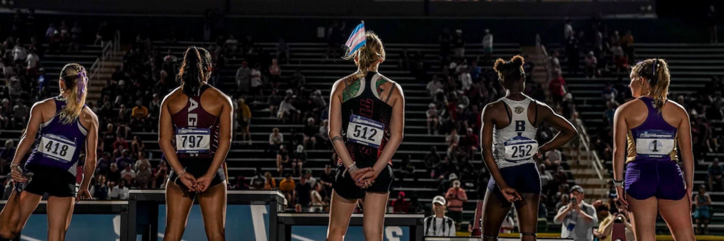 Sadie Schreiner
