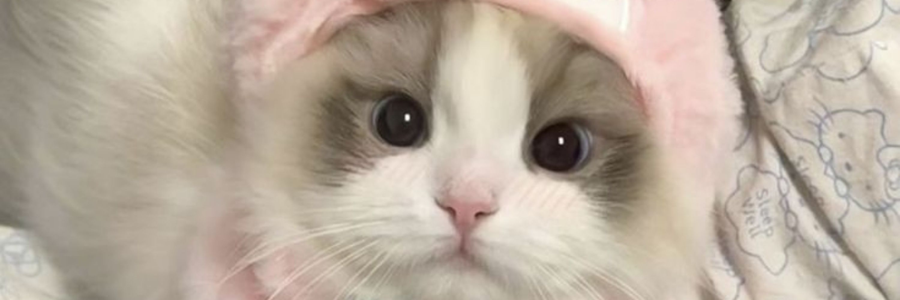 ﹒᪤﹔𝘼ყ𝙪ꪀ𝙣α ꒷꒥ 🌷