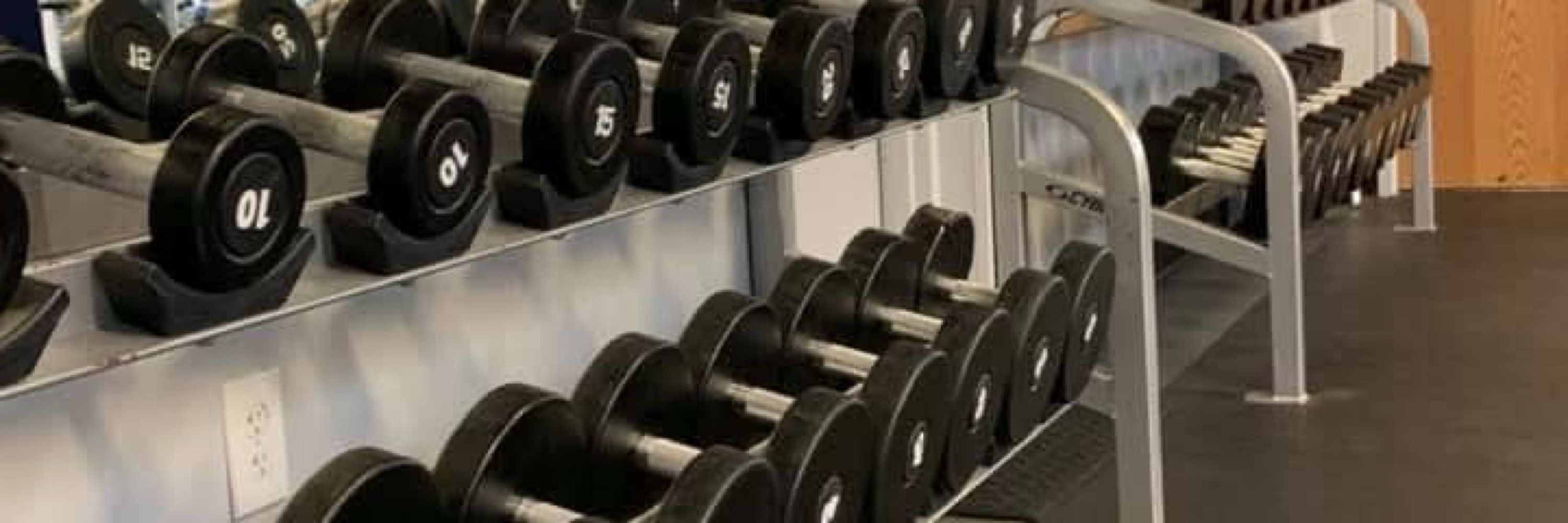 Anthony - Health & Fitness Coach