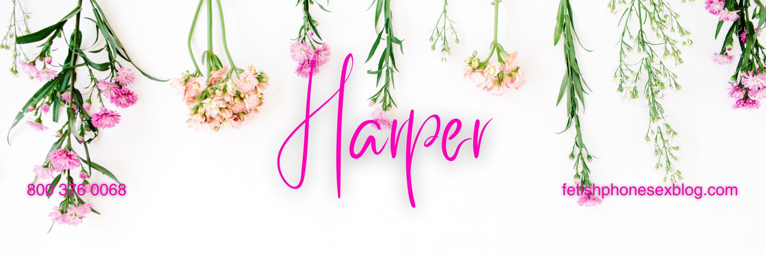 Harper