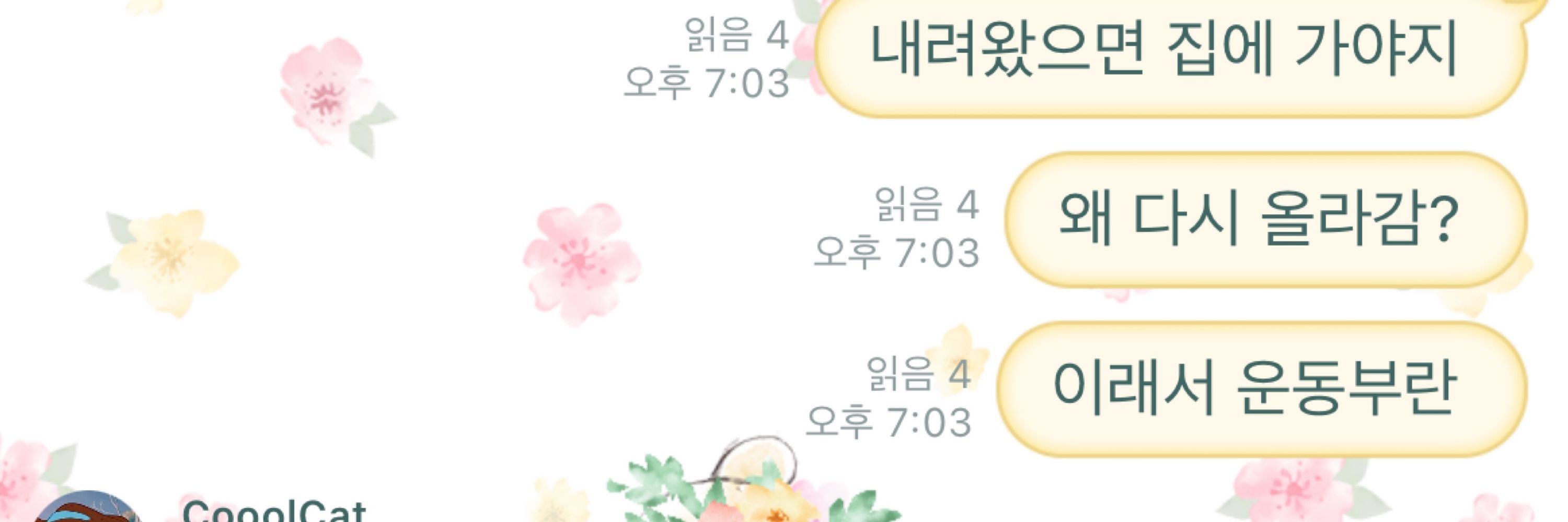 러브로켓🧶