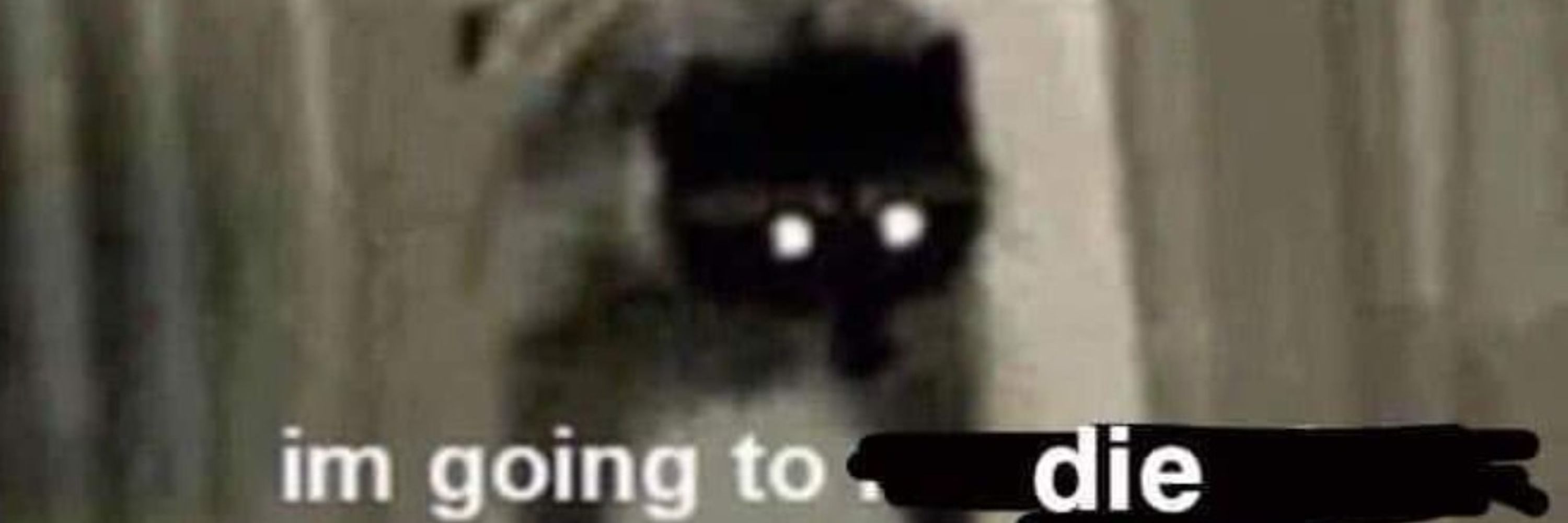 Celsoir_