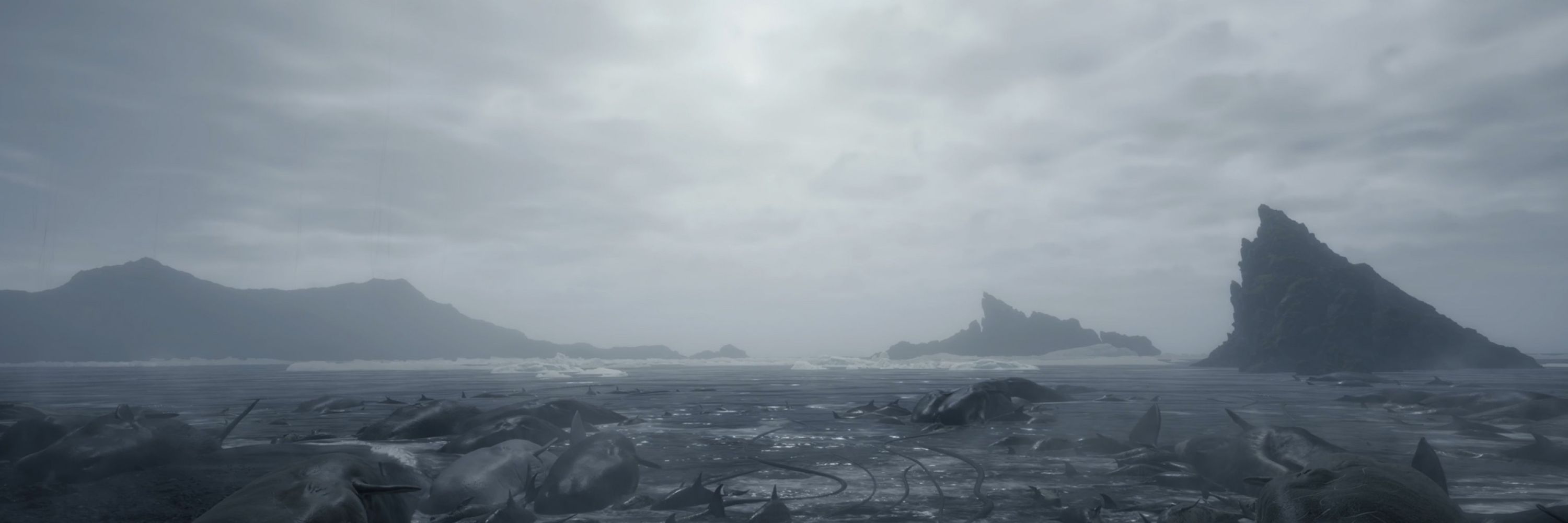 kusa