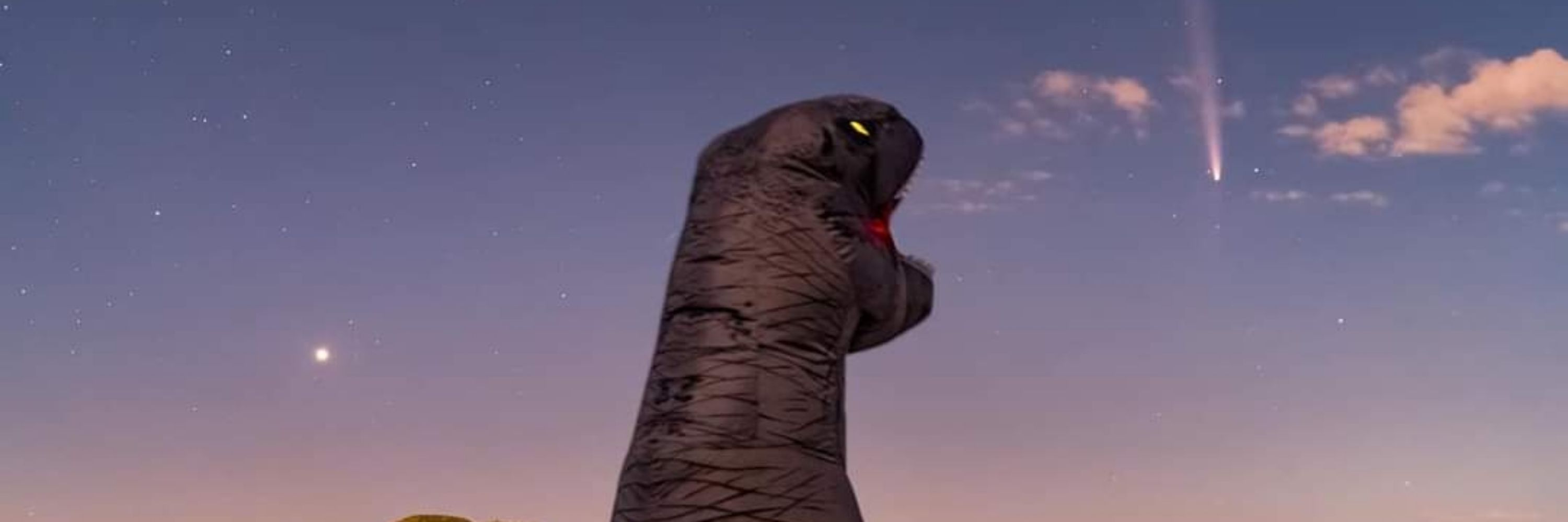 MCobservadora