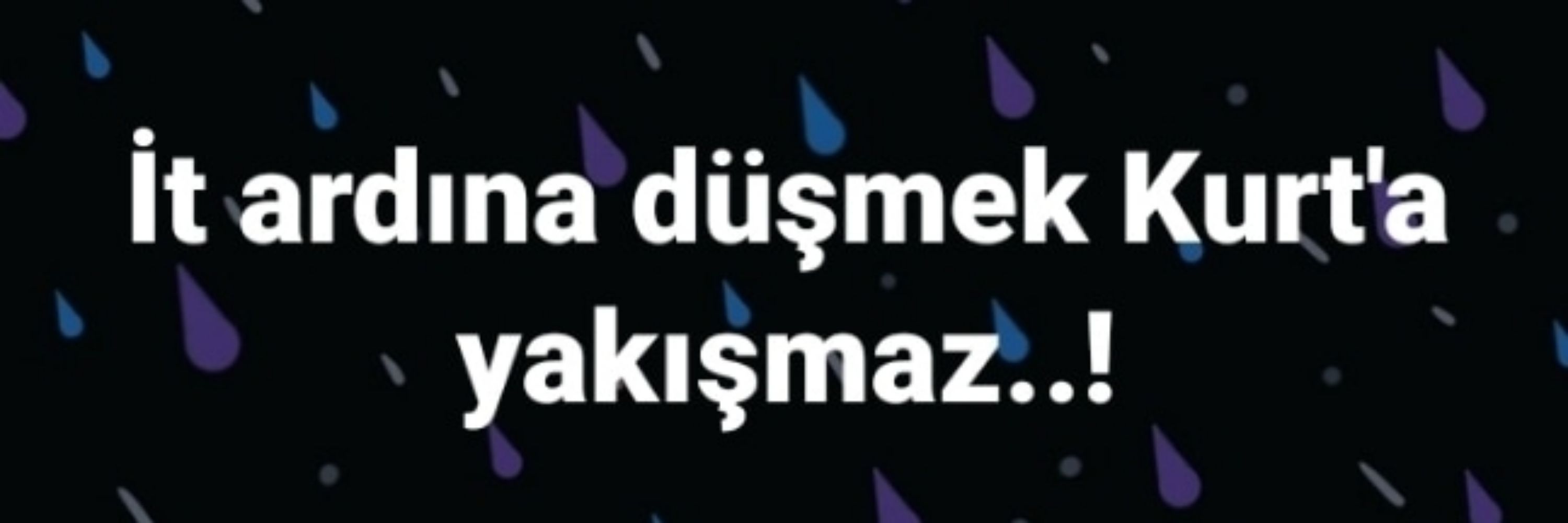 BOZKURT 1907