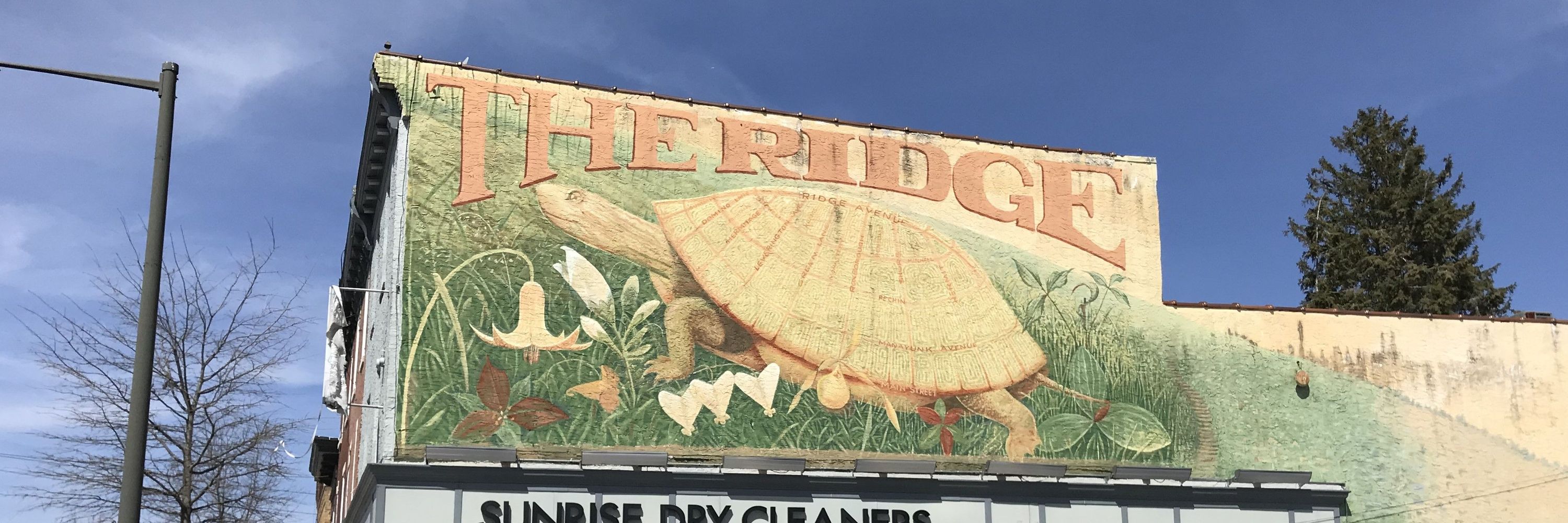 Vote the Ridge
