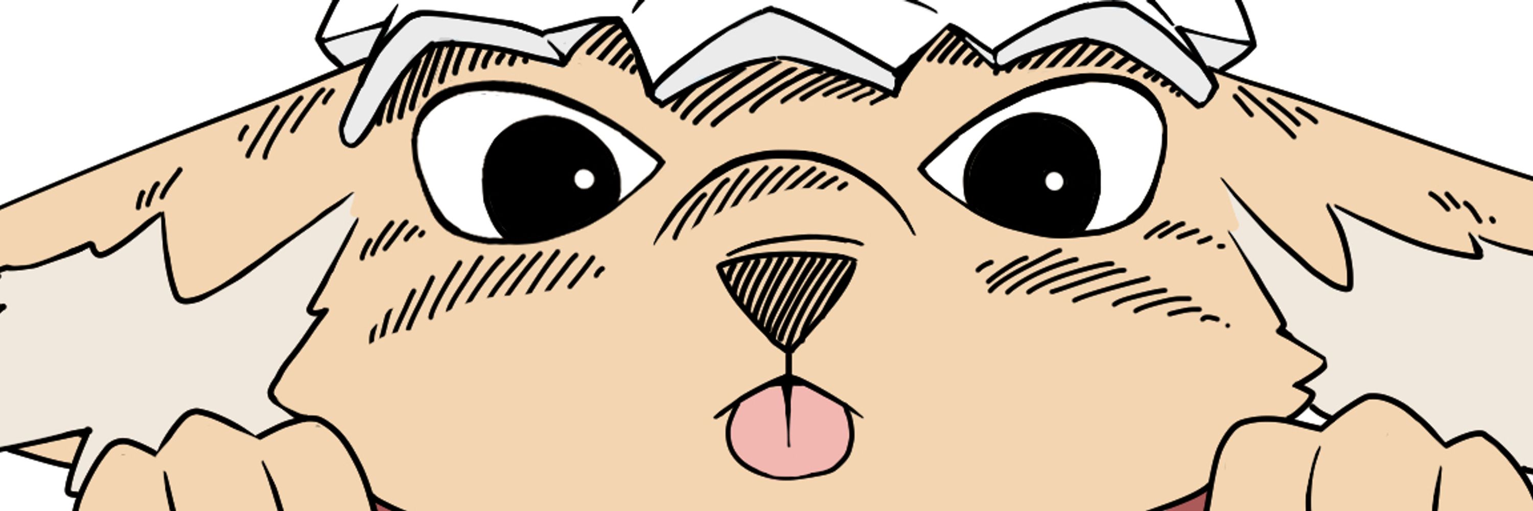 모브캣96