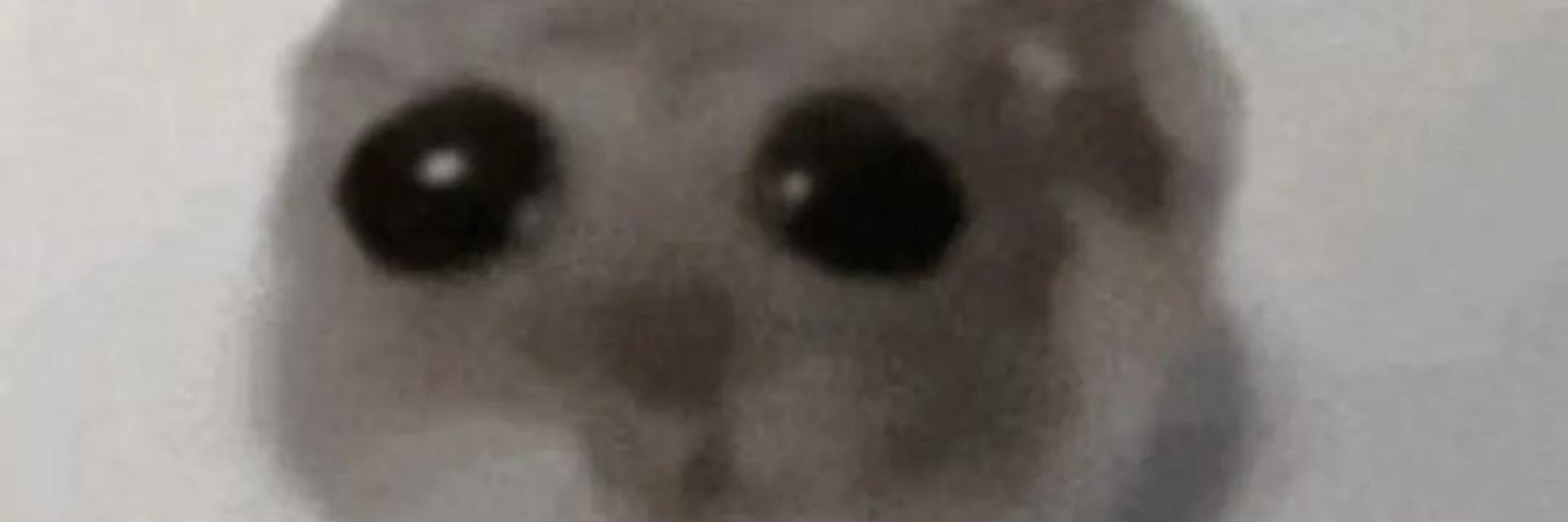 Meebo