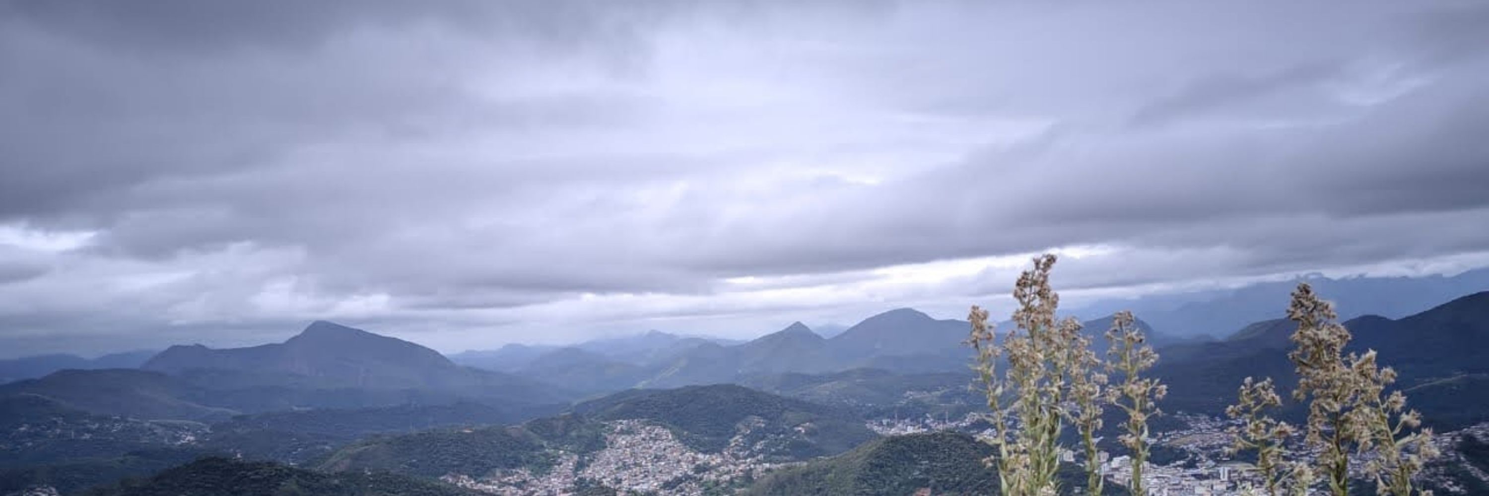 Nathalia