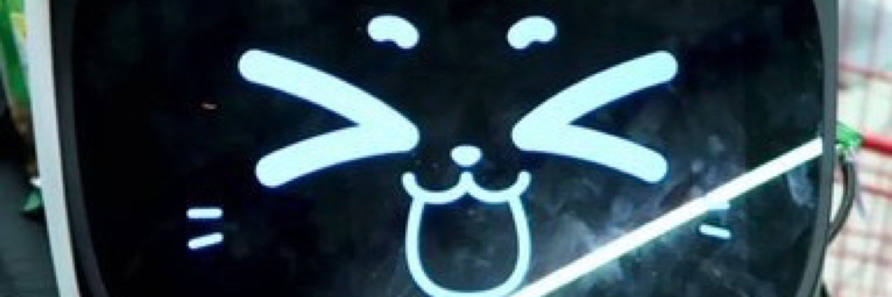 Siggy