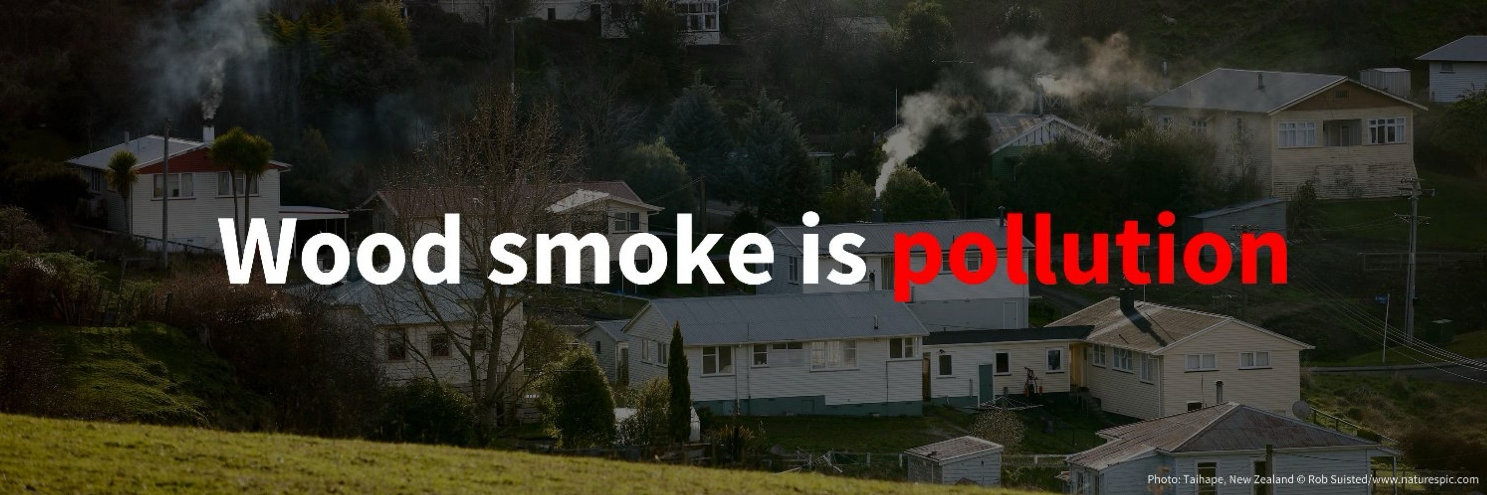 Doctors and Scientists Against Wood Smoke Pollution