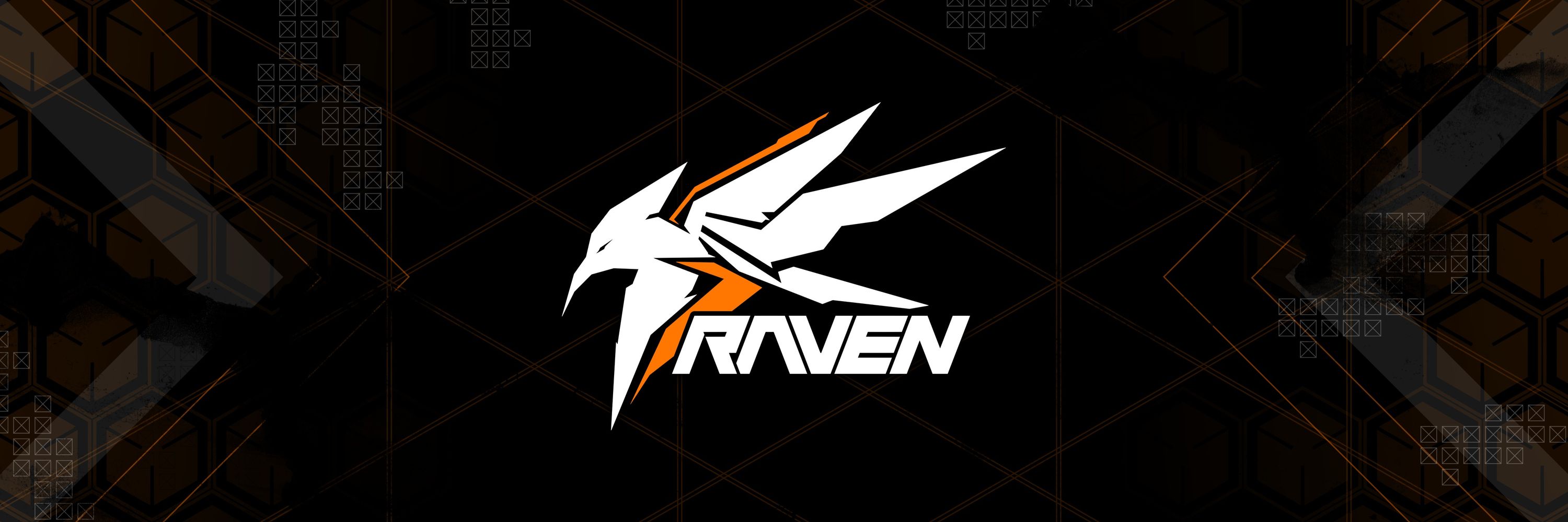 레붕|RAVEN
