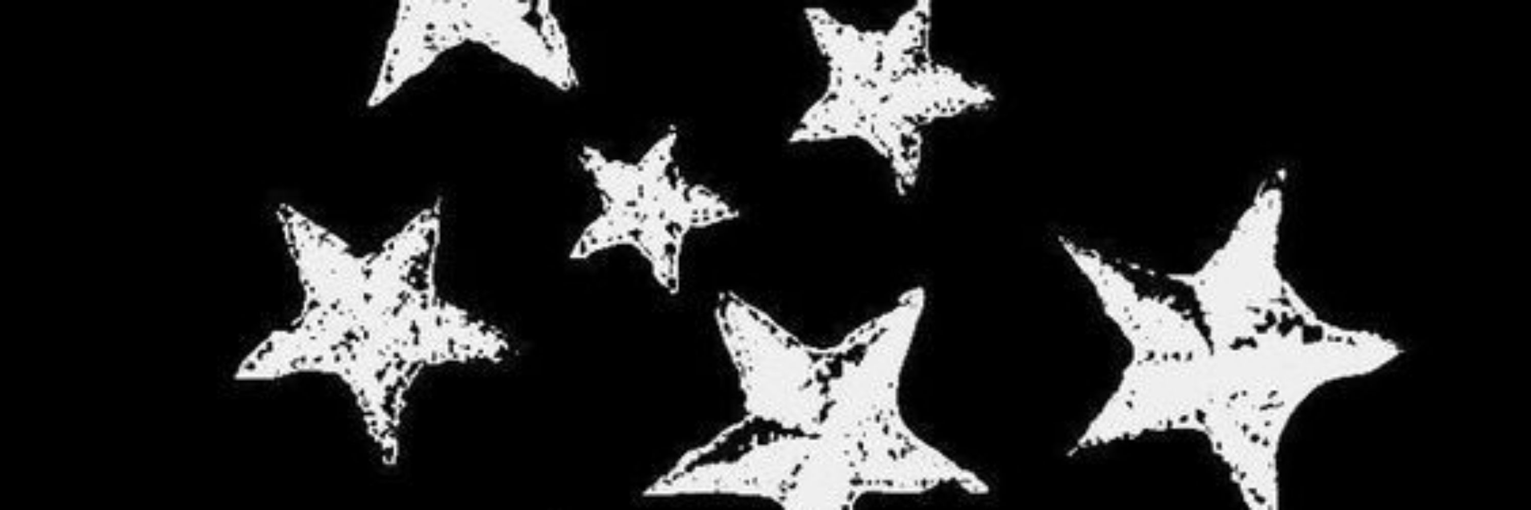 Ferh★°》