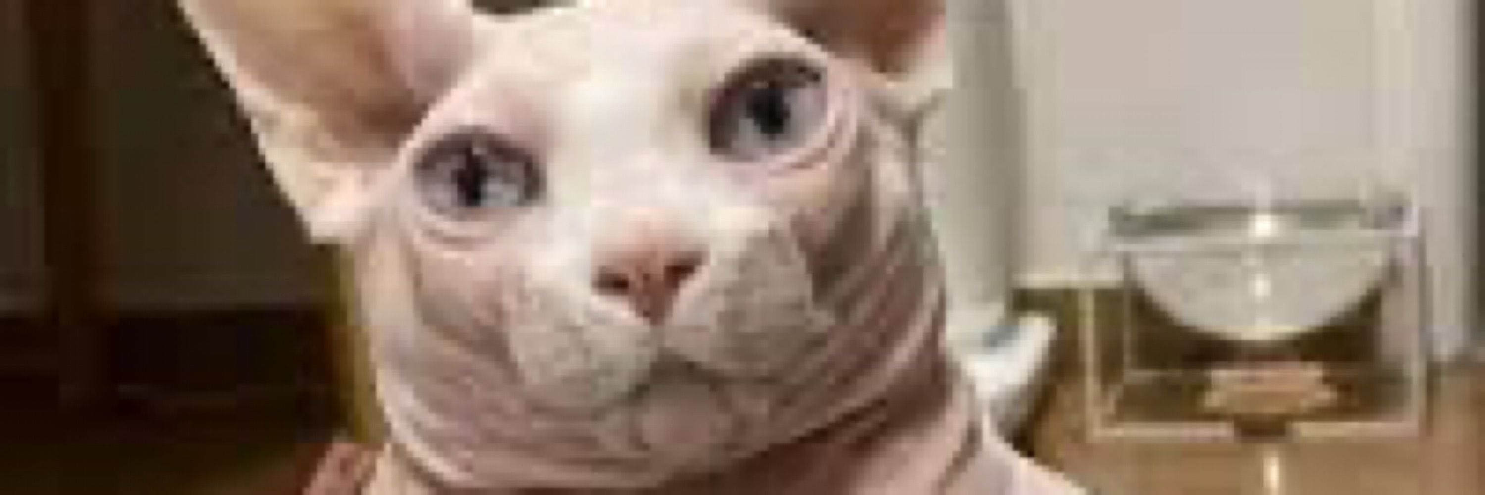 ás 