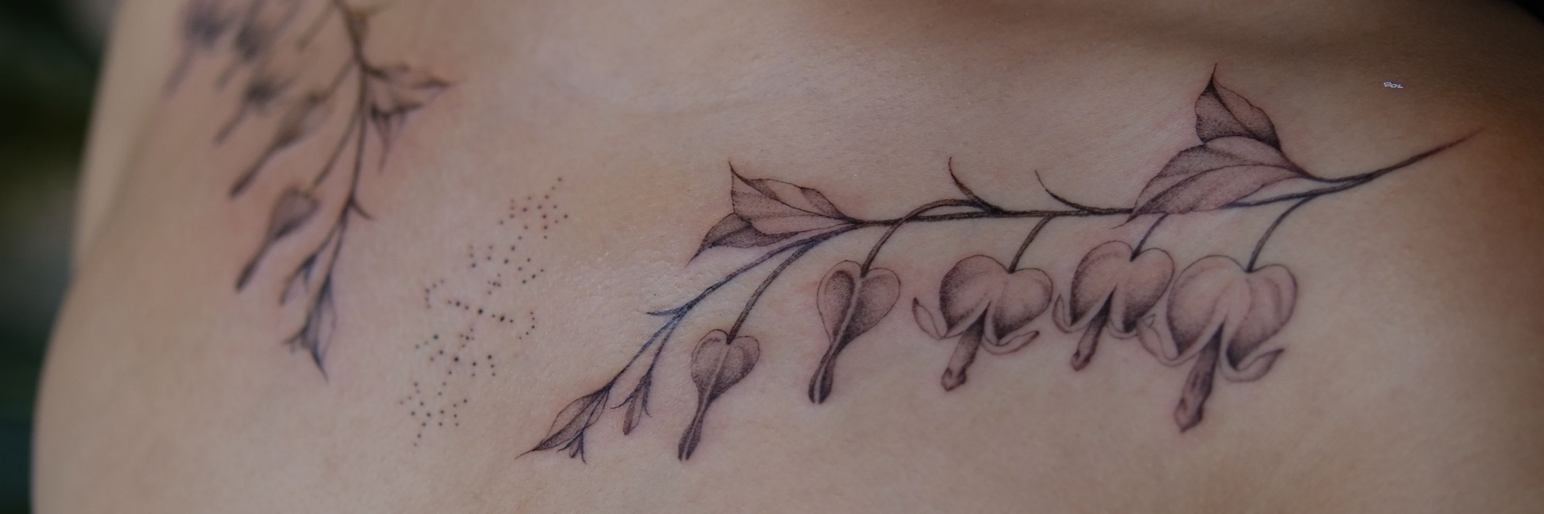Savanna