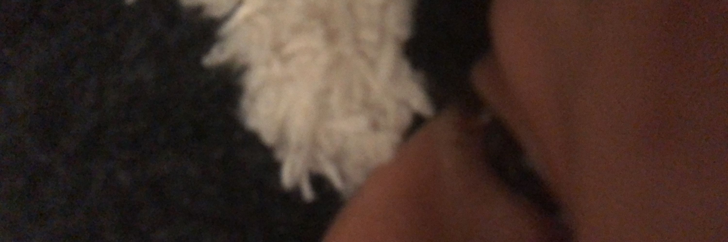 lele
