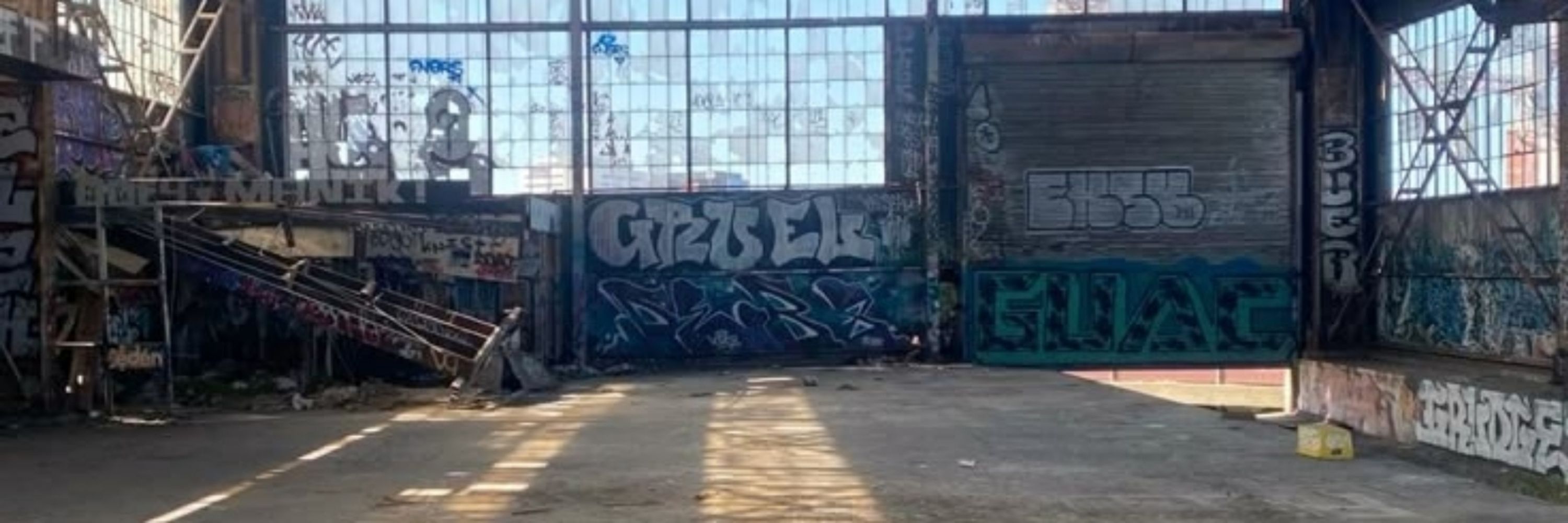 damien DG