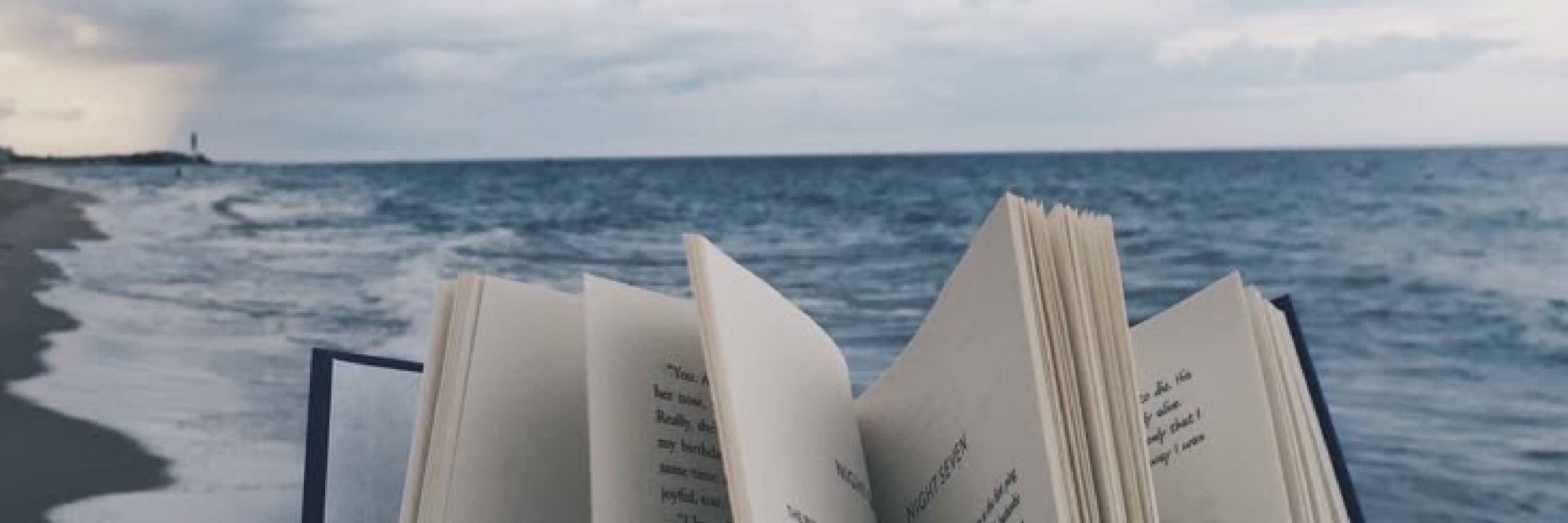 chai 𐙚 | 📖