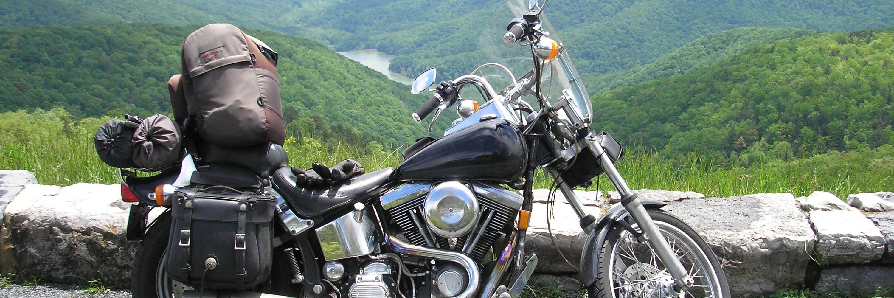 Softail