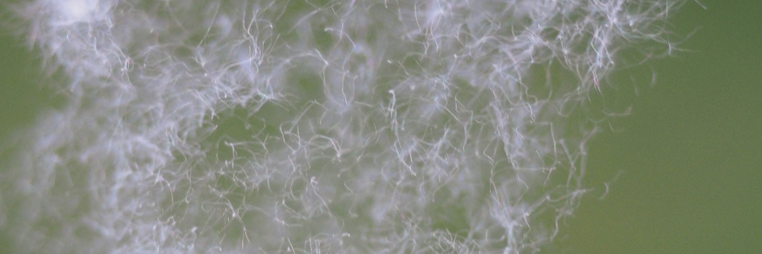 Ecological Research Network (Ecornet)