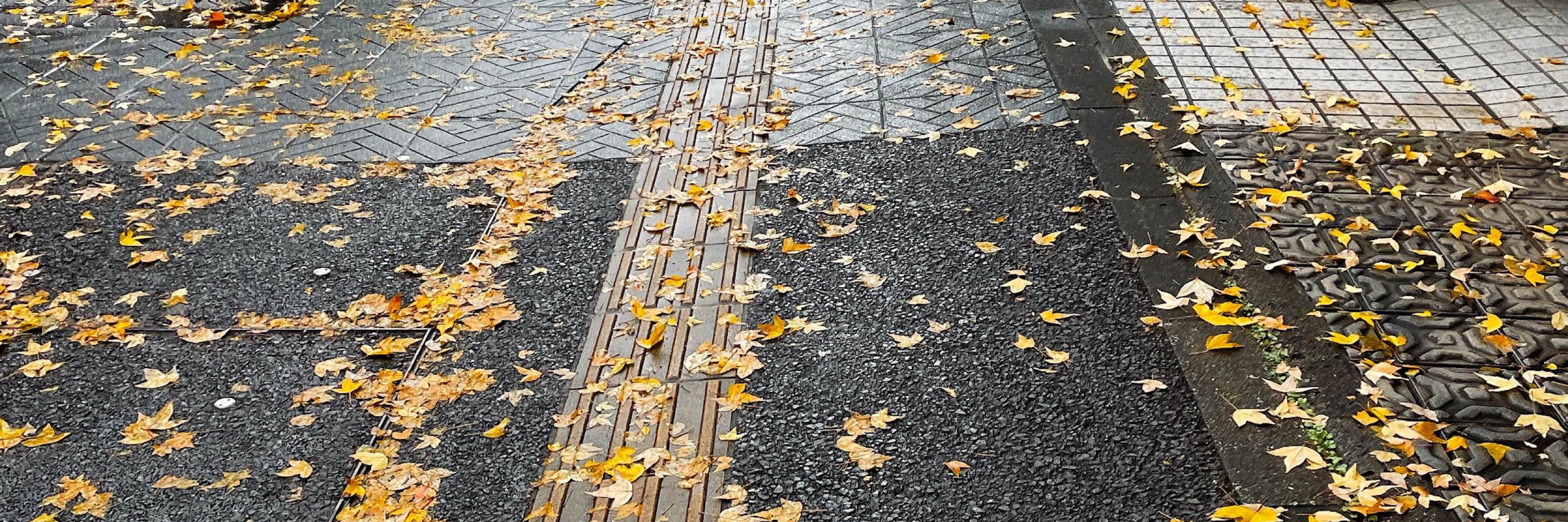 493n