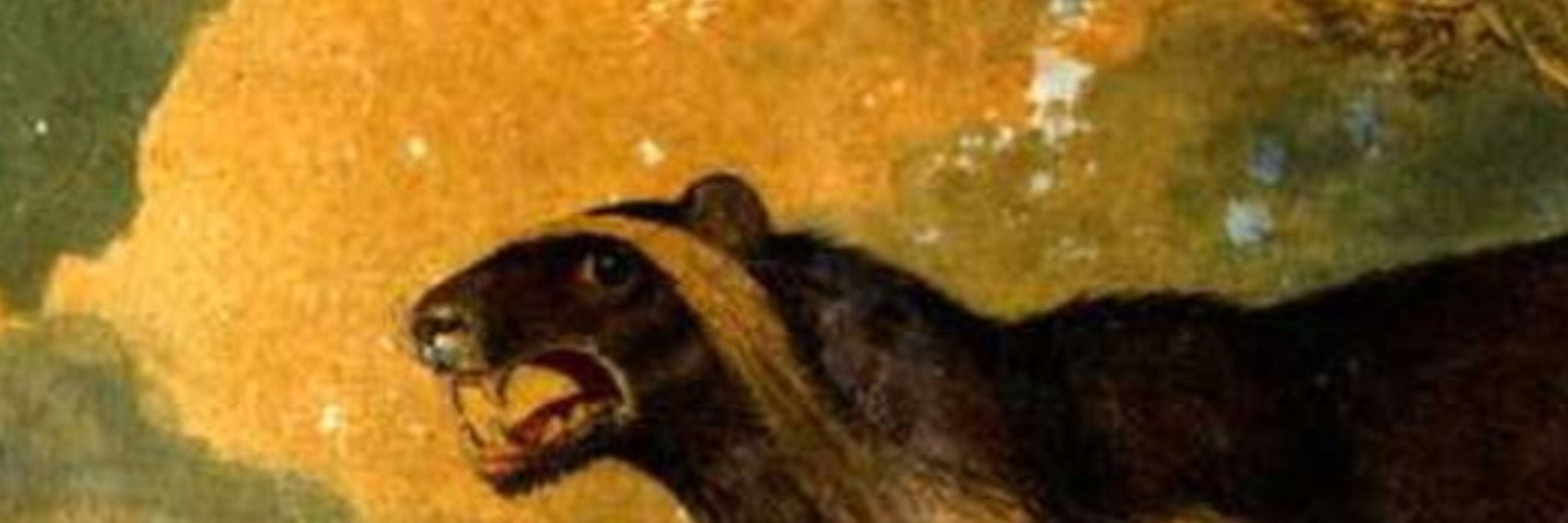 GreedyGulo