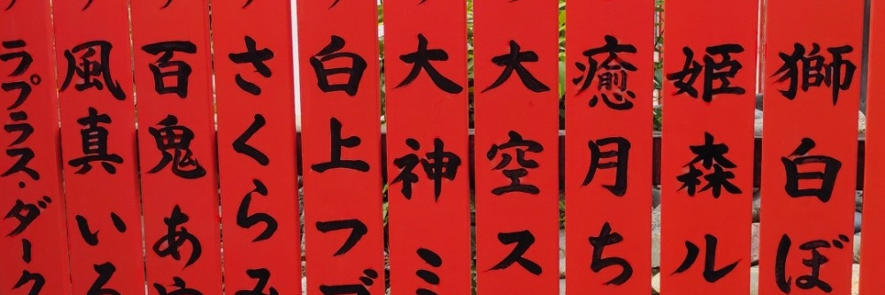 ね っ こ