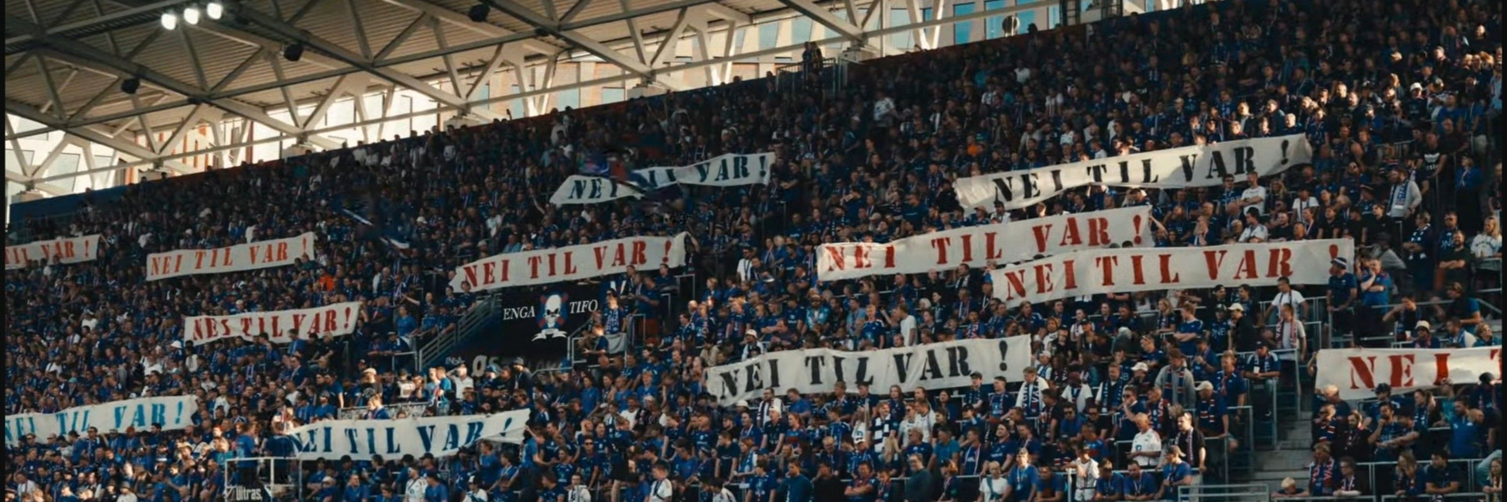 blårizla